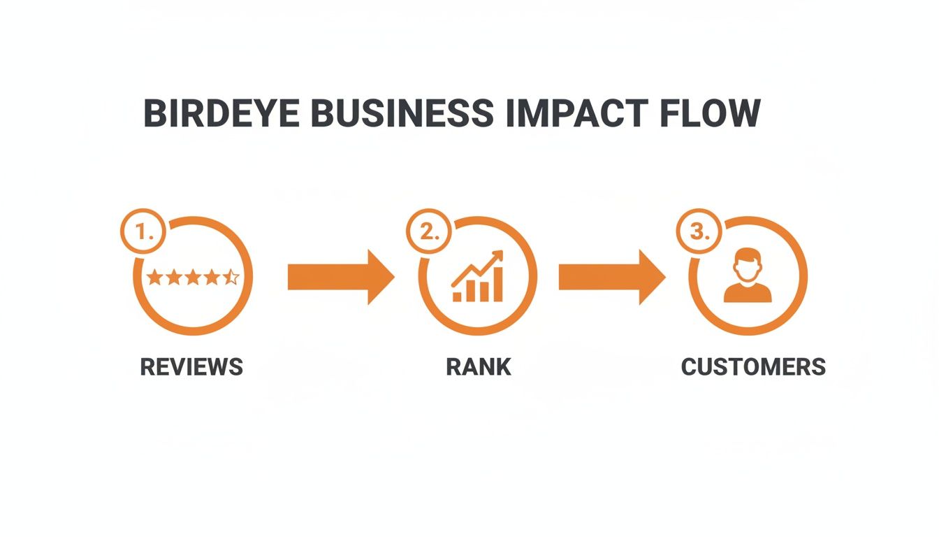 Birdeye business impact flow diagram showing how reviews lead to improved rank and more customers.
