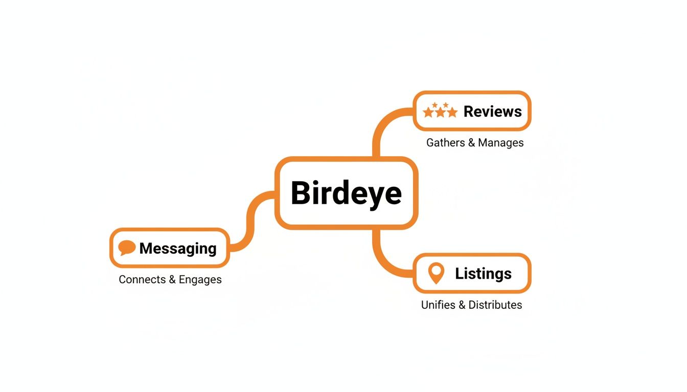 A mind map illustrates Birdeye's core features: Reviews, Messaging, and Listings for businesses.