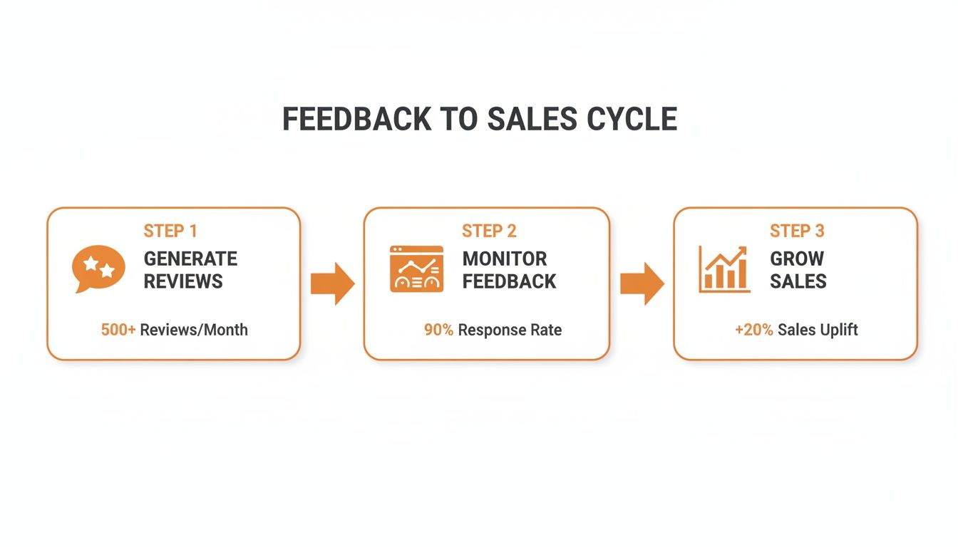 Flowchart detailing a feedback to sales cycle, including review generation, feedback monitoring, and sales growth.