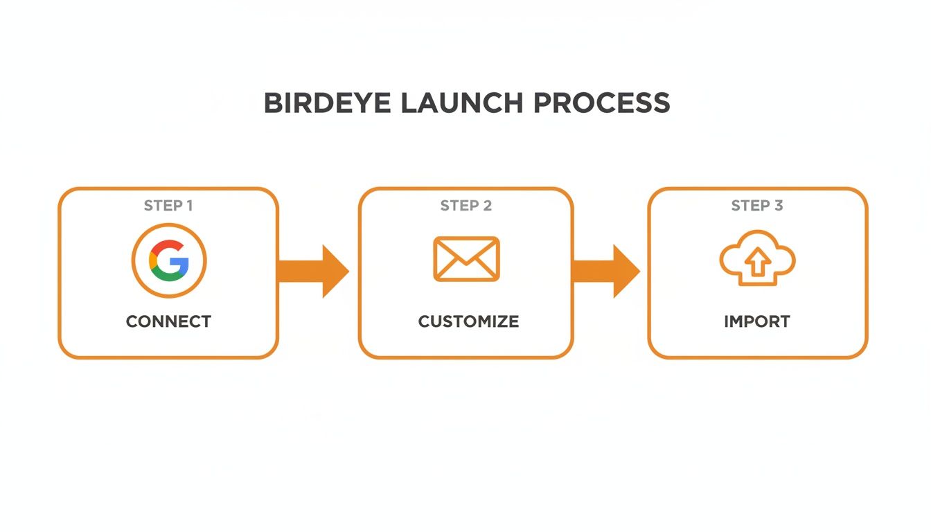 Birdeye launch process flowchart detailing steps to connect, customize, and import data.