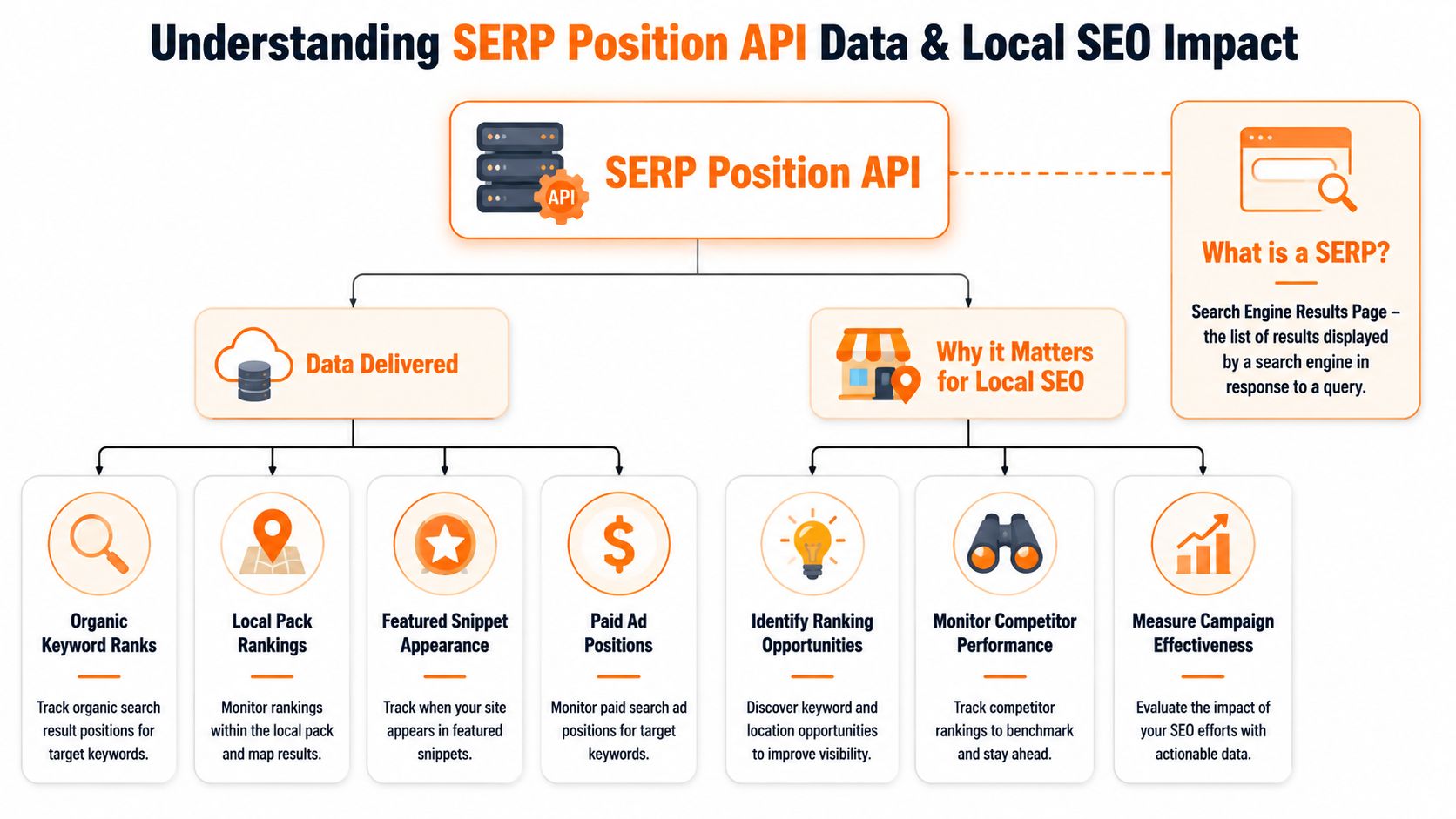 A flowchart explaining the functions and benefits of a SERP Position API for local SEO strategies.